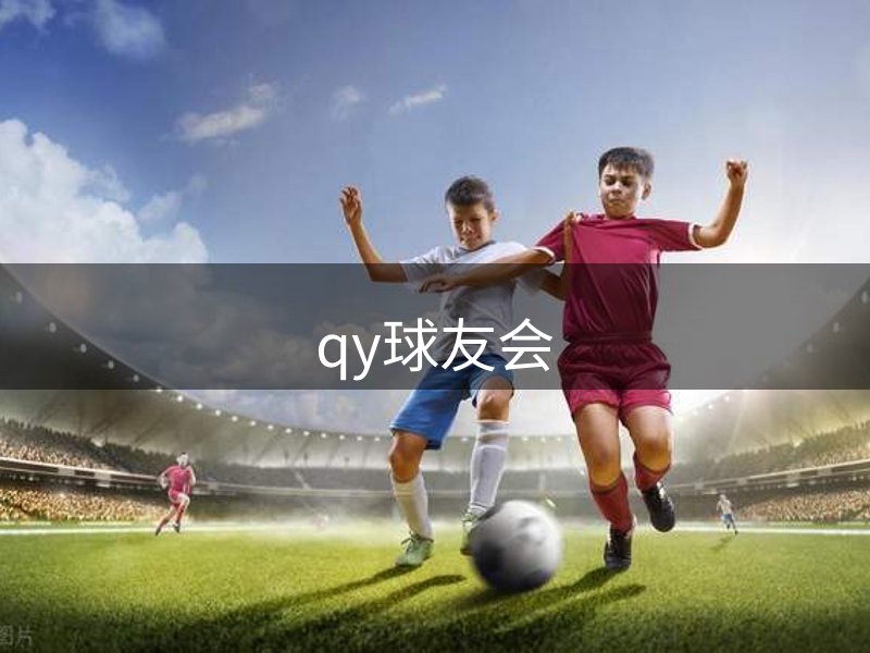 公司历程